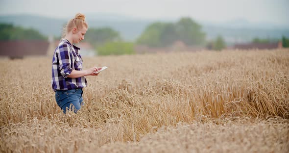 Agriculture Female Farmer Walking in Wheat Field with Digital Tablet