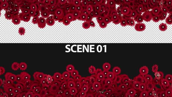 3d Red Flower Transition alt