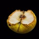 Apple Decaying - VideoHive Item for Sale