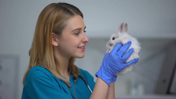 Young Female Vet Playing With Bunny, Care and Love to Patient in Animal Hospital