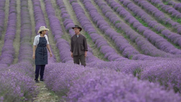 Lavender Fields Herb Farm