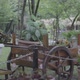 Decorative garden - VideoHive Item for Sale