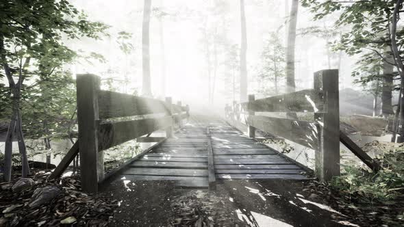 Wooden Bridge in the Forest in the Fog