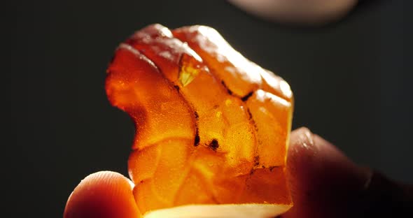 Amber Stone Processing In Hand