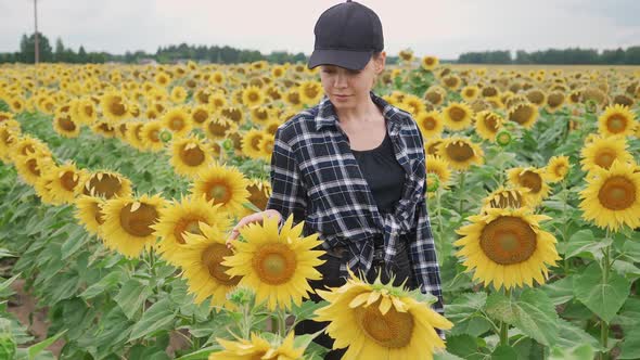 Countryside Female Farmer Walks Through a Field of Sunflowers and Runs Her Hand Over the Yellow