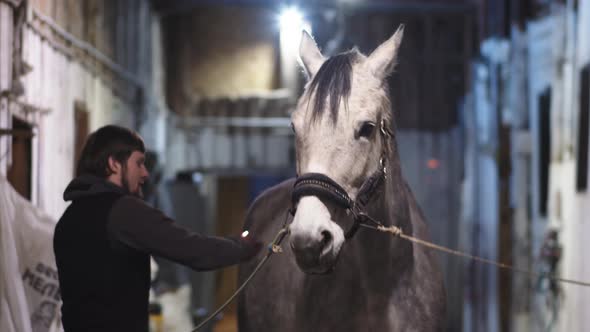 Man Combing a Horse in the Stable