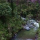 A small mountain stream in the Andes made up of numerous small cascades - VideoHive Item for Sale