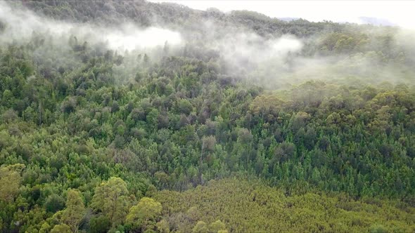 Aerial flight over foggy mountains and green forest in Tasmania in Australia, medium shot dolly left