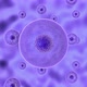 Process infecting cell of pathogenic microorganisms - VideoHive Item for Sale