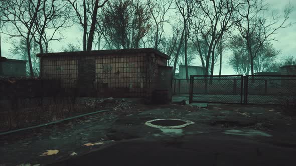 Old Abandoned Garages in the Forest alt
