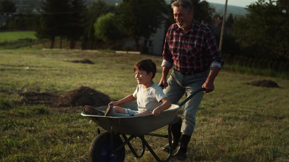 Video of grandfather driving his grandson in wheelbarrows at sunset