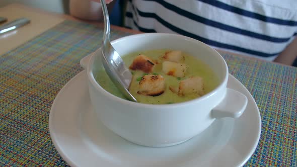 Woman Eating Diet Business Lunch in Restaurant