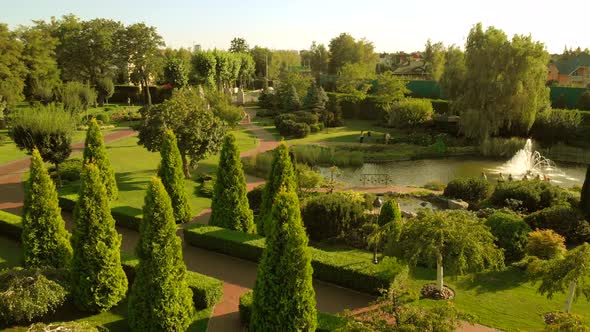 View From Above on a Summer Park in a Good Sunny Day