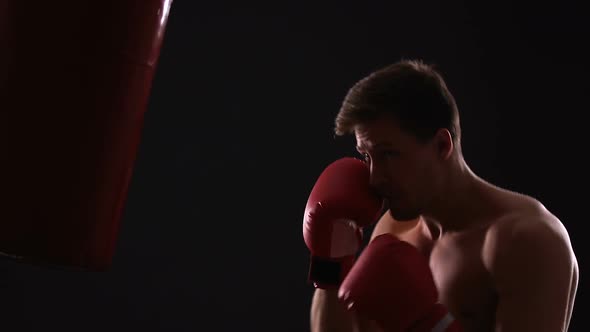 Fighter in Boxing Gloves Training With Punching Bag, Motivated in Sports Career