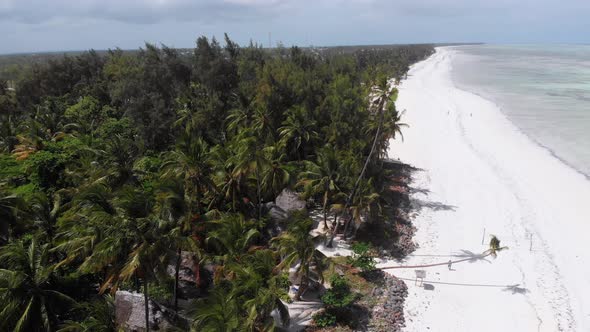 Ocean Coastline with Paradise Beach Hotels and Palm Trees Zanzibar Aerial View