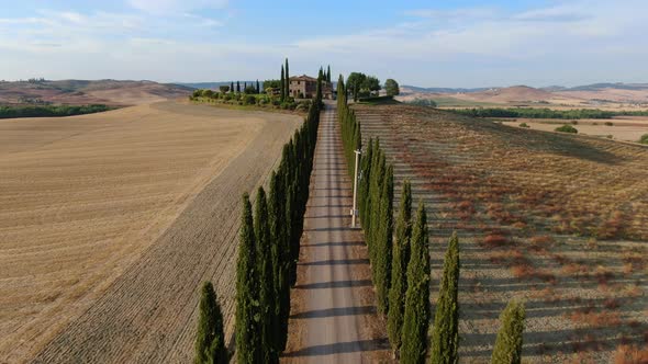 Aerial view of a road lined with cypress trees, Val d'Orcia, Tuscany, Italy