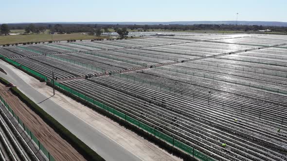 Aerial View of a Strawberry Farm in Australia