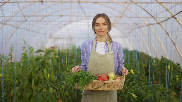 Happy Farmer Woman Walking with Basket with Fresh Harvested Vegetables at Greenhouse