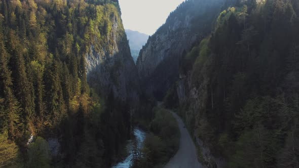 a Natural Landscape, Beautiful View of the Mountains, Coniferous Trees , Bridge