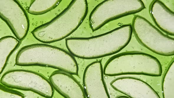 Motion of Aloe Vera Sliced Slices