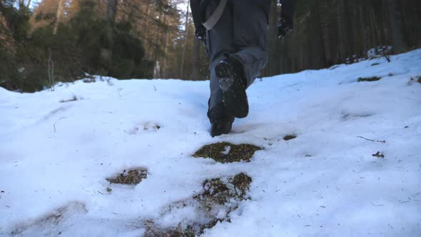 Rear Back View of Unrecognizable Guy Climbing Up on Snowy Slope with Pine Forest at Background