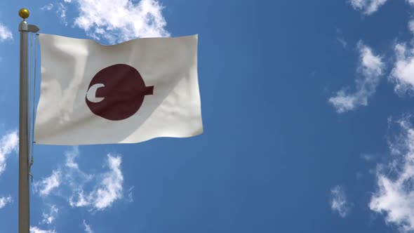 Nara Prefecture Flag Japan On Flagpole