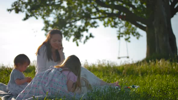 Attractive Mummy and Her Two Little Babes Made a Picnic.