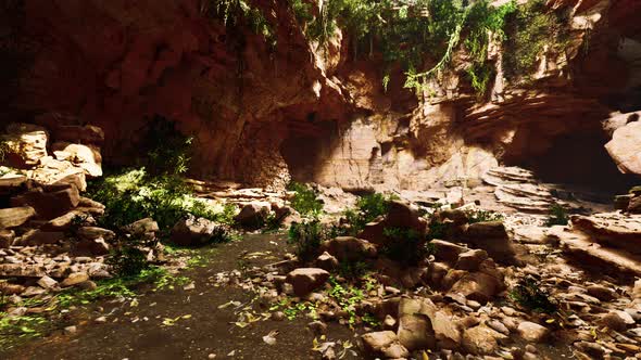 Cave in an Extinct Volcano Covered with Grass and Plants