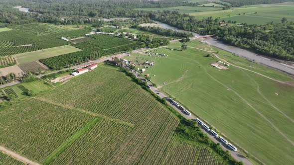 Aerial flight over beautiful vineyard landscape in Kvareli, Georgia