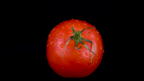 Water Is Sprayed on a Tomato. On a Black Isolated Background