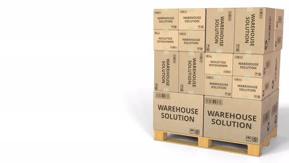 Cartons with WAREHOUSE SOLUTION Text