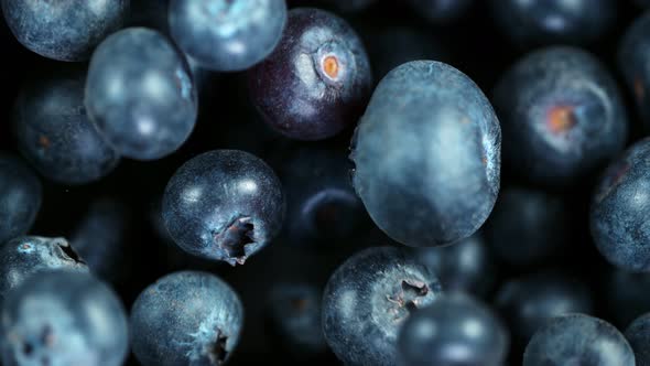 Super Slow Motion Shot of Flying and Rotating Fresh Blueberries at 1000Fps