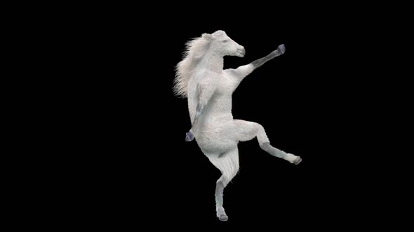 35 White Horse Dancing HD