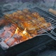 Grilled Chicken Wings - VideoHive Item for Sale