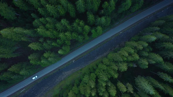 Aerial View of Car Riding on the Road in the Coniferous Forest Among the Mountains