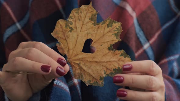 Stylish Red Female Nails