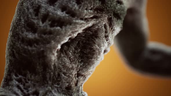 Horrible Scary Zombie Man alt