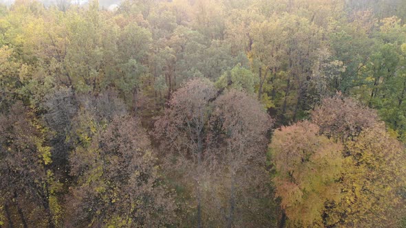 Beautiful Autumn Footage of the City Park