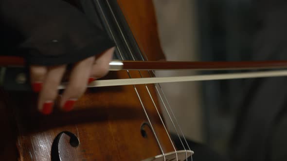 Woman in a Black Sweater Plays the Cello