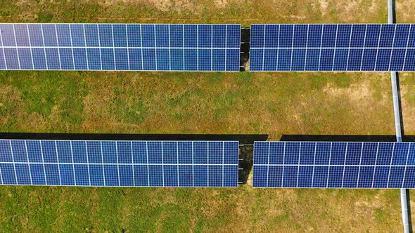 Solar panels in the field in summer.