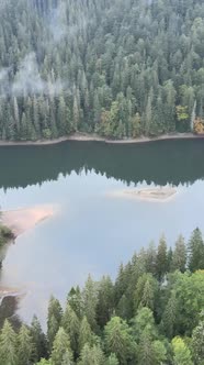 Vertical Video Mountain Lake Synevyr