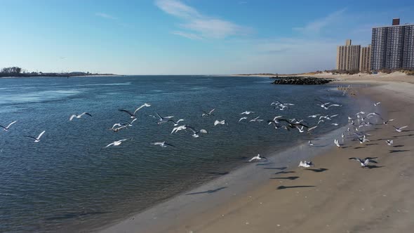 A drone view of a quiet beach on a sunny day. The camera dolly in over the peaceful beach and toward