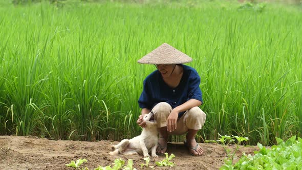 Asian Farmer Playing With Dog