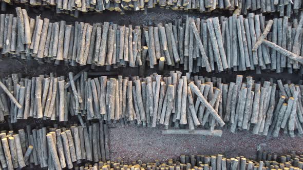 Sawn Tree Trunks at a Sawmill Top View