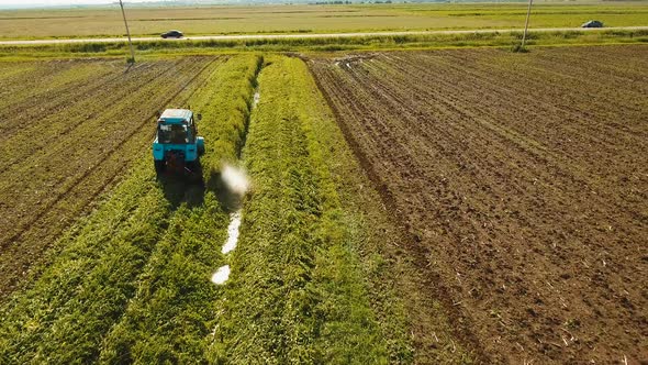 Tractor in the Field Mows the Grass