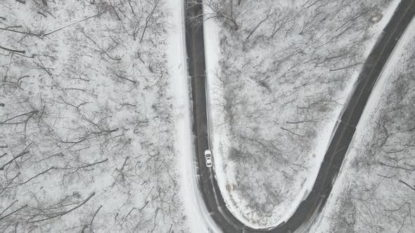 Top down view of forest with curving road in Wisconsin.