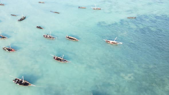 Boats in the Ocean Near the Coast of Zanzibar Tanzania