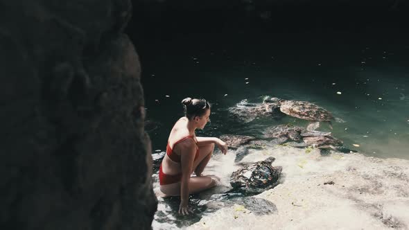 Woman Feeding Algae to Giant Sea Tortoises at Baraka Natural Aquarium Zanzibar