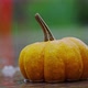 Pumpkin - VideoHive Item for Sale
