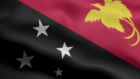 Papua New Guinea Flag Seamless Closeup Waving Animation